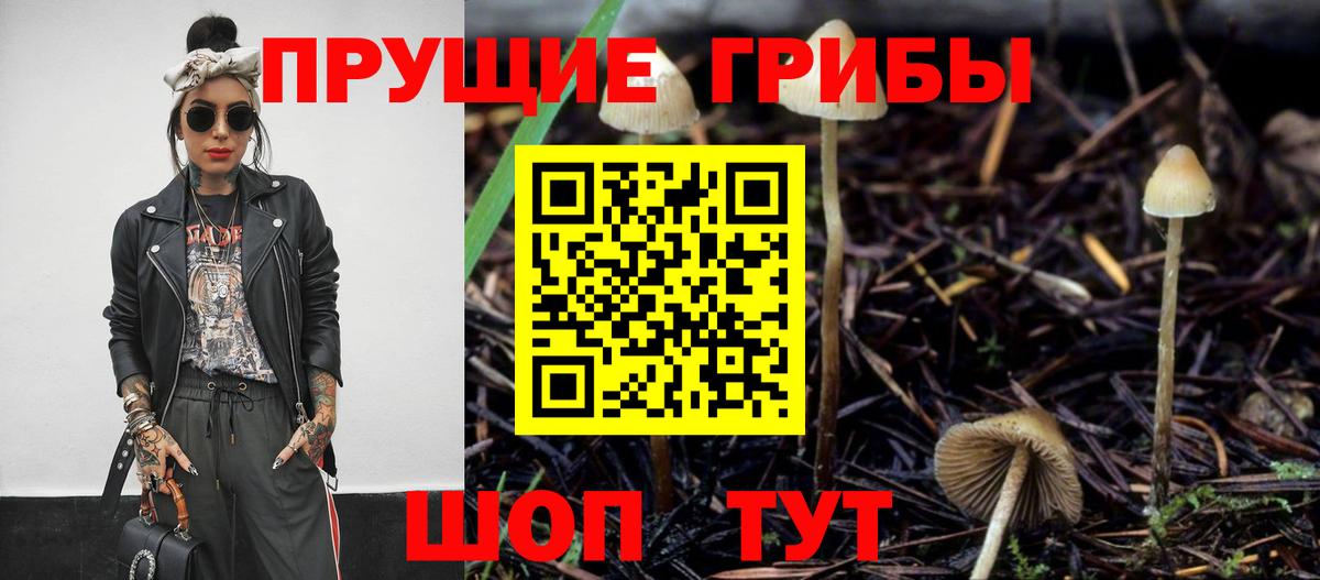 Торжок  Галлюциногенные грибы мухоморы  Вход с VPN  Псилоцибиновые грибы Cubensis 